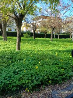 Appartamento Sun and Sea - Campora San Giovanni - 8