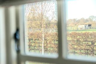 Red Robin Retreat - 1