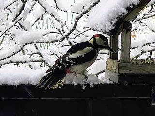 Haus 4-Jahreszeiten - 6