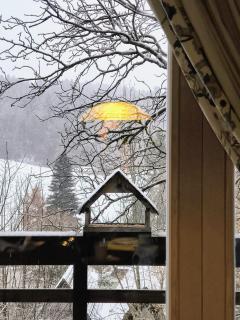 Haus 4-Jahreszeiten - 5