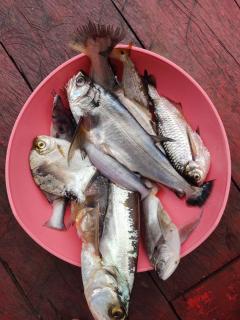 Pousada praia e sol - 9