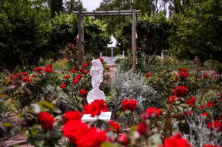 Vygeboom Studio & Vine Cottage - 4