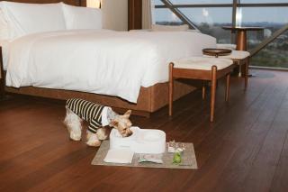 Vignette Collection Shanghai Snow World Hotel by IHG - 8