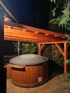 Malinowy Gaj - Agroturystyka z alpakami i innymi zwierzętami - 1