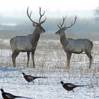 Beautiful nature resort -  - 0