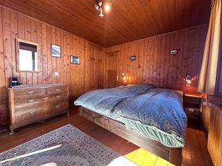 Chalet les Mélèzes - Typique, terrasse & cheminée - 2