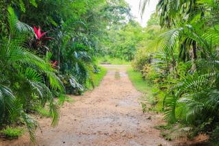 Elephant Trail Homestay - 5