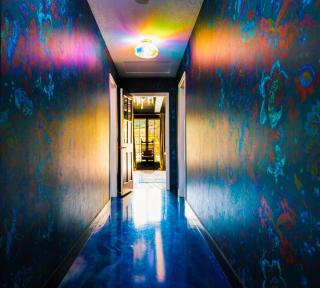 6BR Enchanted Estate on 5 Acres Pool & Mini Horses - 2