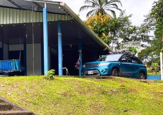 Peace of the forest - 6