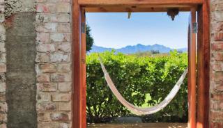 Winelands Manor Vineyard Views - 1