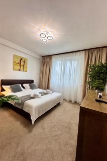 Ultracentral Piata Victoriei 19- City Center View - 8