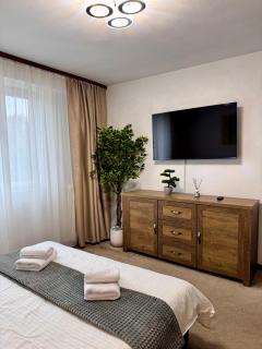 Ultracentral Piata Victoriei 19- City Center View - 7