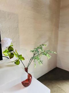 Blue Haven on Craftmanship Hotel with WiFi Pool & Parking - 6