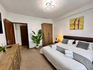 Ultracentral Piata Victoriei 19- City Center View - 1