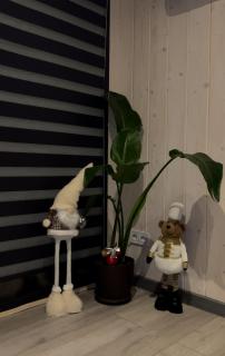 Роздоріжжя - 8