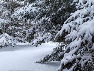 Edelweiss Inn Nova Scotia - 9