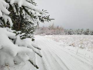 Edelweiss Inn Nova Scotia - 7