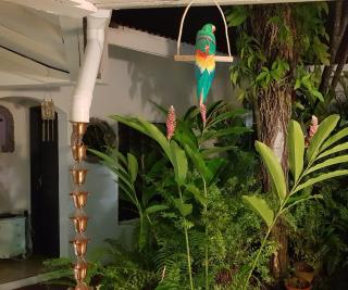 Villa Patio Colibri - 3