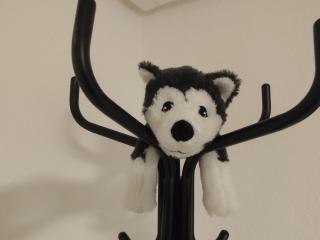 FeWo Hospitalskapelle - 5