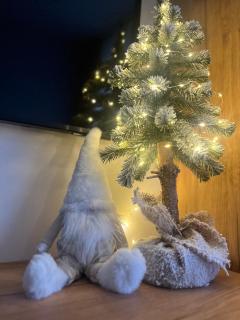 Słoneczny Apartament Karpicko - 4