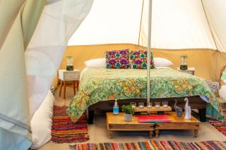Daisy at Blancas Bell Tents - 1