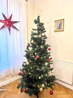 Agapella Apartamenty- Apartament Helska 3 - 250m form the beach, free parking - 7