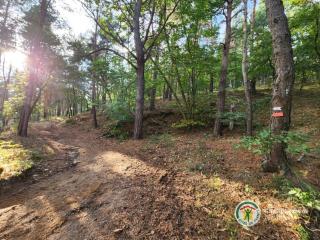 Tente Domaine Solio - 4