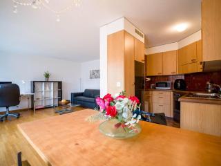 Central Bern Flat - Balcony & Bundeshaus View - Bern - 6