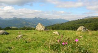 Le gîte des ânes à chroniques - 6