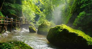 Le gîte des ânes à chroniques - 5