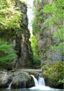 Le gîte des ânes à chroniques - 3