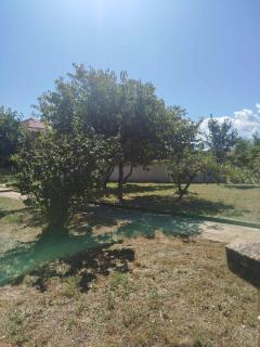 Villa Karetka Orizari - Orizari - 6