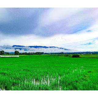 ก้านกล้วยโฮมสเตย์ - 6