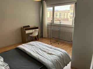 Green room - Wifi - Centre ville - Cosy - 0