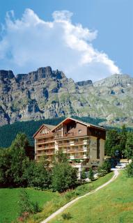 Hotel Alfa Superieur - Leukerbad-Therme - Leukerbad - 9