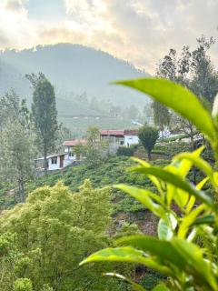 Mad & Nomad Backpackers Hostel - 4