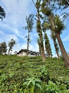 Mad & Nomad Backpackers Hostel - 2