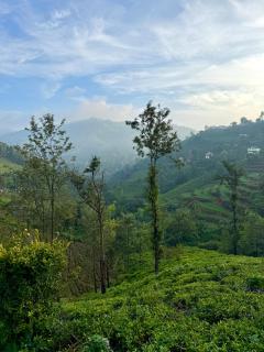 Mad & Nomad Backpackers Hostel - 3