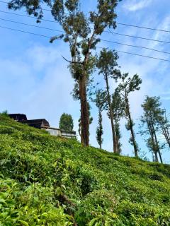 Mad & Nomad Backpackers Hostel - 1