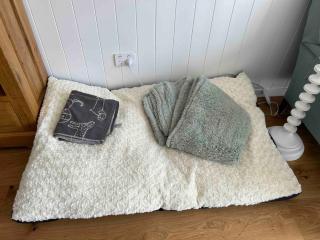 The woolshed - Oruanui - 8