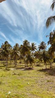 Duplex in São Miguel dos Milagres 600m from the beach - 5