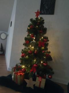 MD Apartament- Cazare la curte - 8