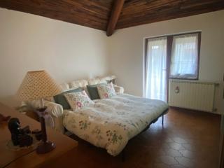 Il giardino dei pini - 8