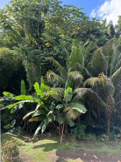 LIGHTUAL - Appartement calme 6 p jacuzzi privatif - 2 chambres, 1 mezzanine - 2 Sde - 9