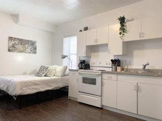 Cozy Bachelor Condo Downtown WiFi & Smart TV - 9