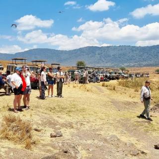 Summit Scape Adventures Safaris Limited - 3