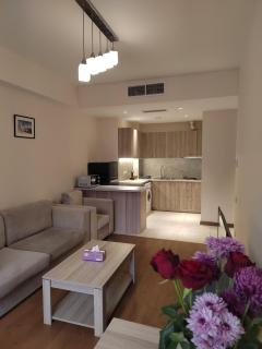 Republic Square apartments - Jerevan - 1