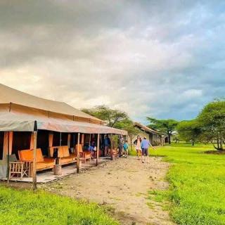 Summit Scape Adventures Safaris Limited - 7