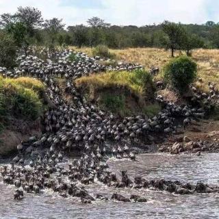 Summit Scape Adventures Safaris Limited - 9