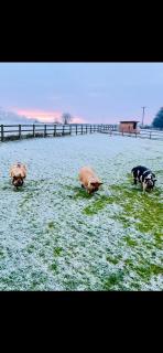 Sugar Brook Retreat - 4